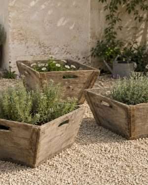 Cajas de madera